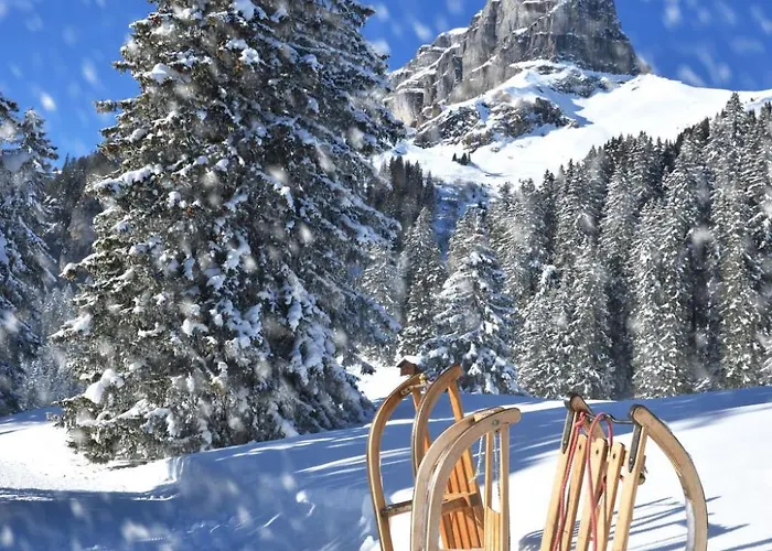 Allod Park Haus C 401 By Interhome * Davos