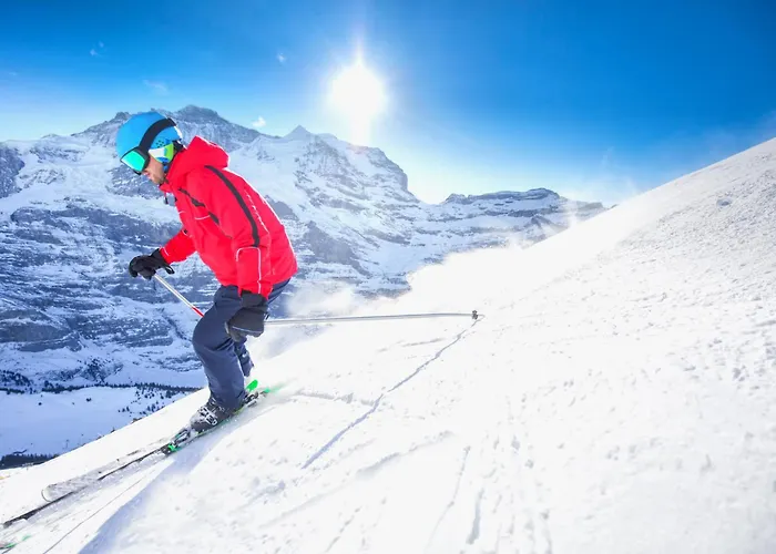 Allod Park Haus C 401 By Interhome Davos